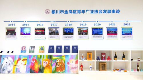 包1.1