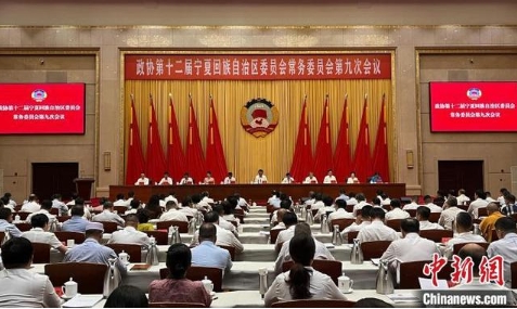 包3.1