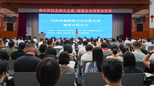 包1.1